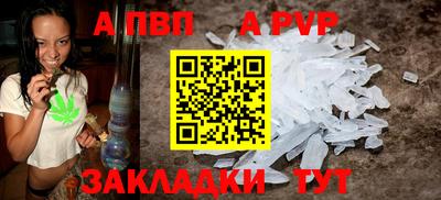индика Новодвинск