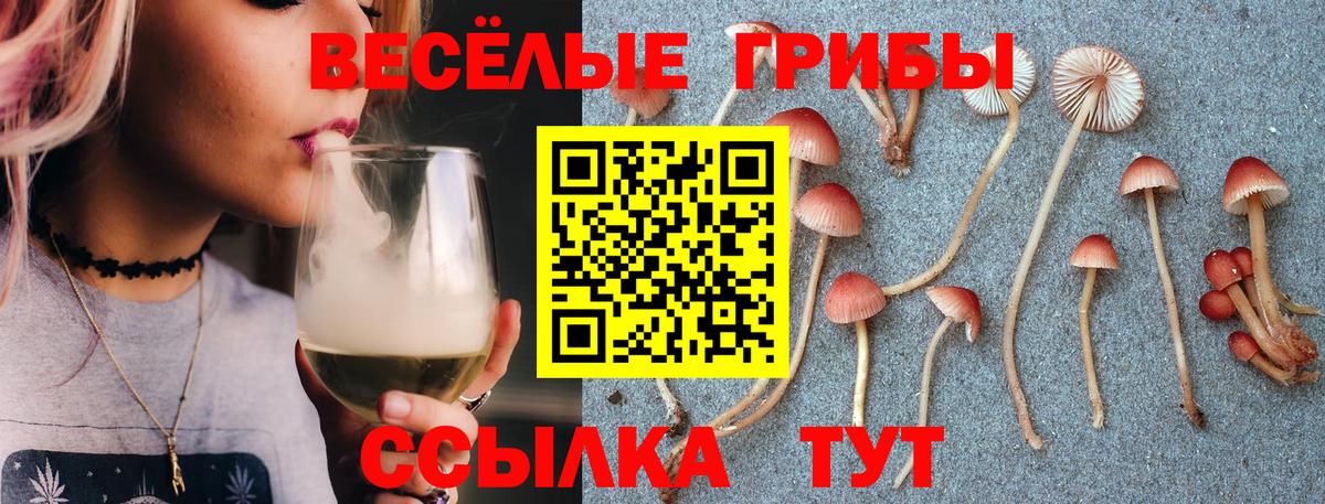 Псилоцибиновые грибы мицелий Фурманов