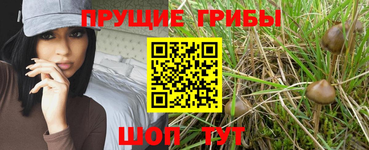купить наркотики сайты  Галлюциногенные грибы MAGIC MUSHROOMS  Вход с VPN  Галлюциногенные грибы мухоморы  Фурманов 